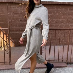 Chic Aritiza turtleneck dress